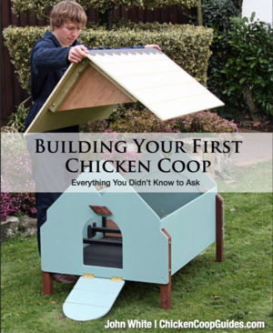 Tips to build your own chicken coop!