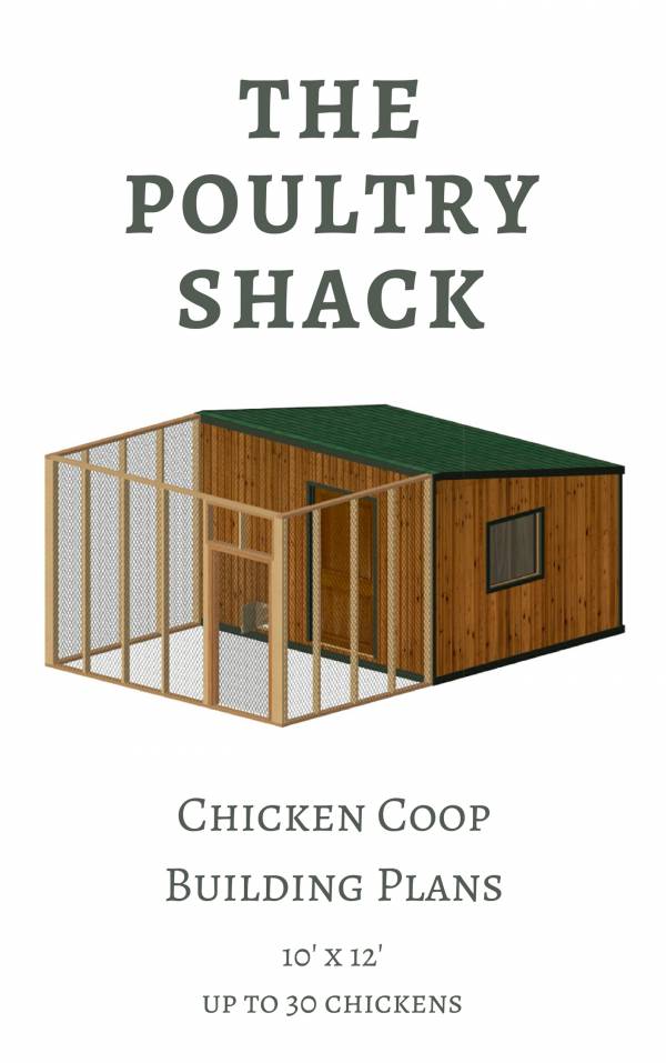 A great coop for up to 30 chickens!