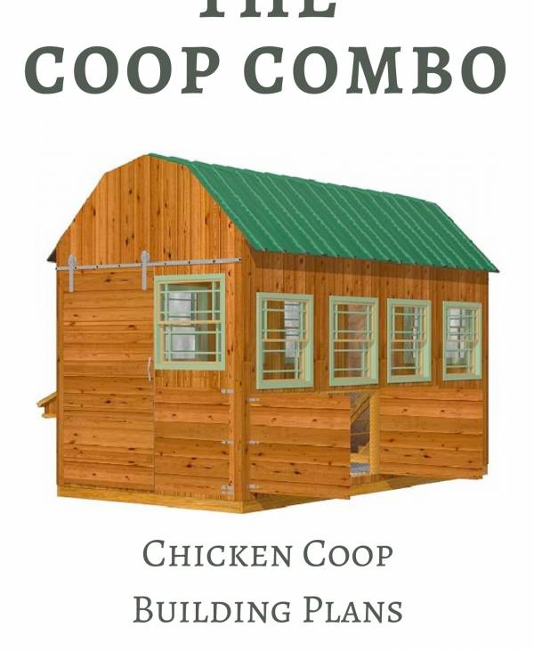 Chicken Coop Plans for up 24 Chickens